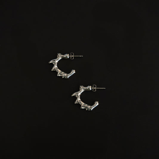 Orecchini Irregolari Silver